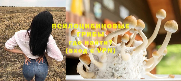 гашиш Абаза