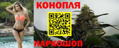 каннабис Сланцы